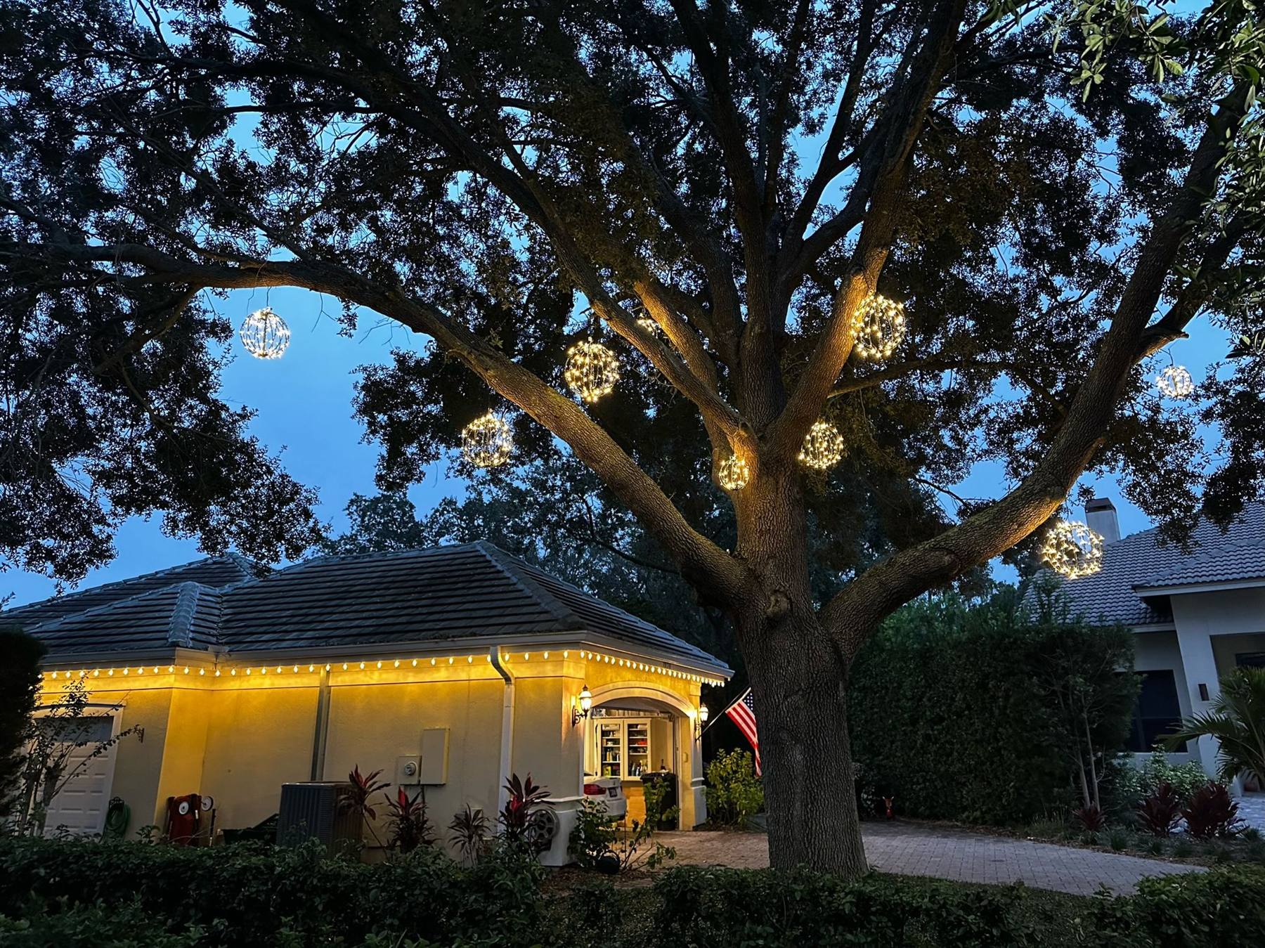 Oak tree with glowing light spheres above a home lit with warm white roofline lights