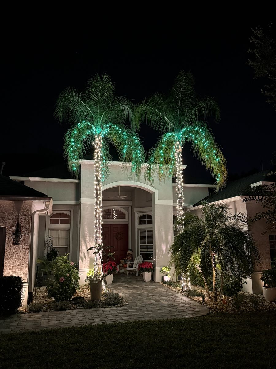 Two palm trees wrapped in white and green lights at a home entrance